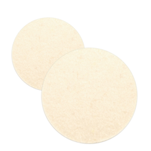 Reusable Glass Polishing Pads - Hook and Loop